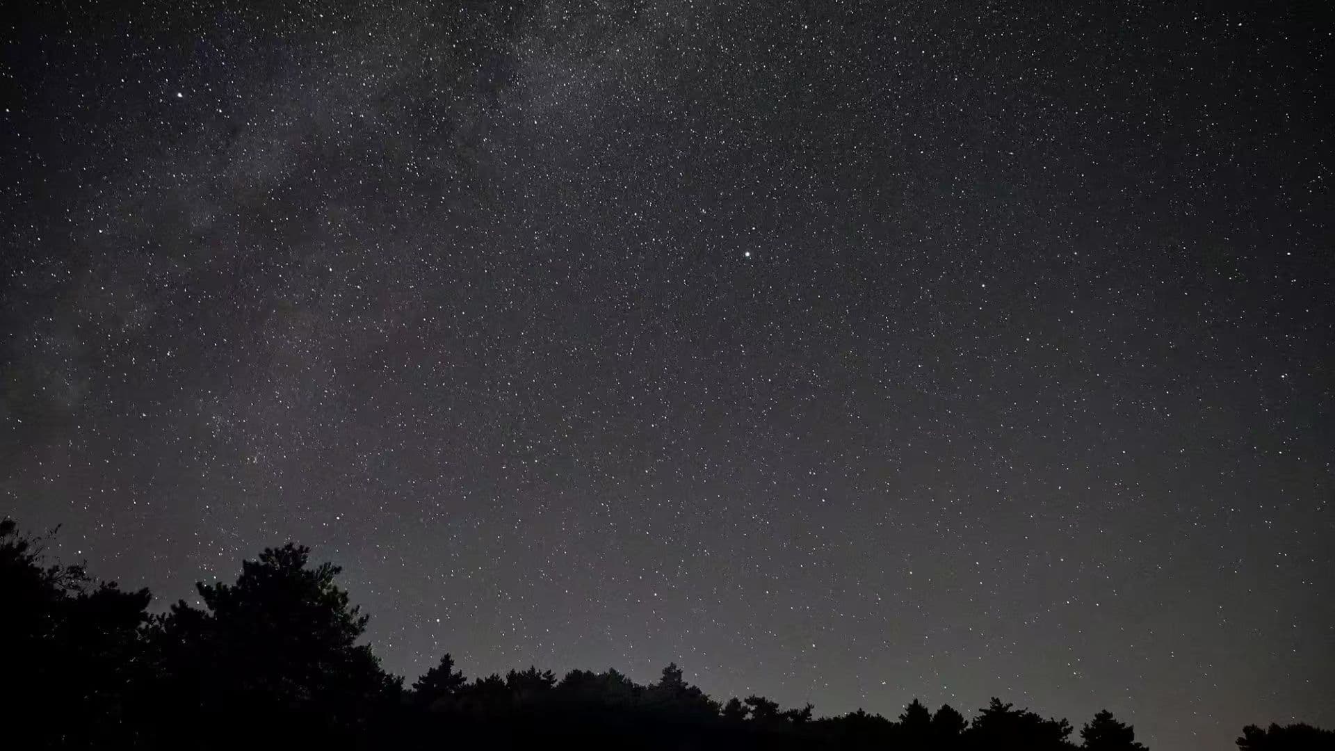 星城之恋